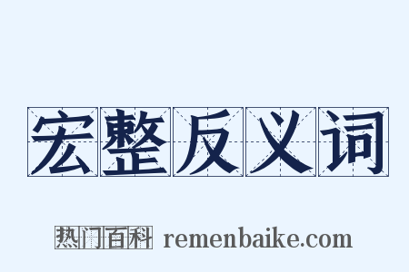 宏整反义词是什么意思的图片